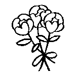 Embroidered Motifs